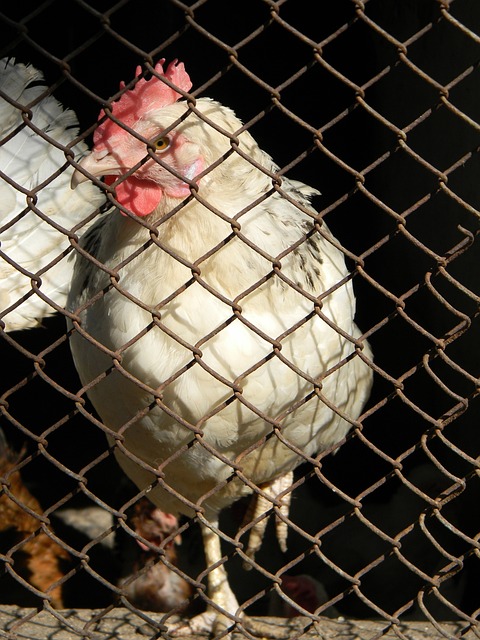 每一位球员 每一位球员