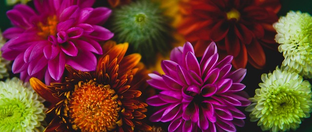 国足球金元 国足球金元