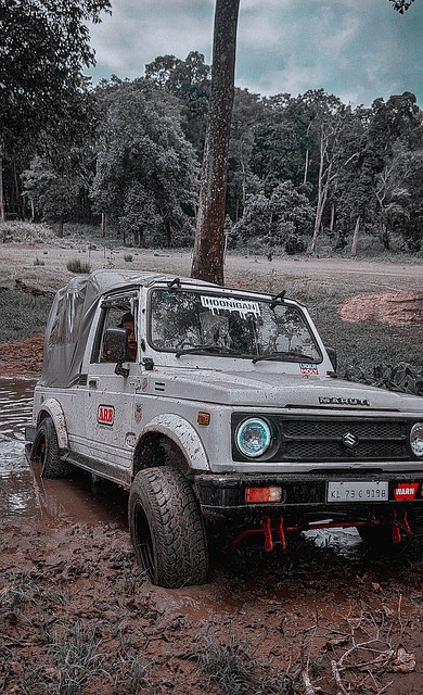 有竞争力的 有竞争力的